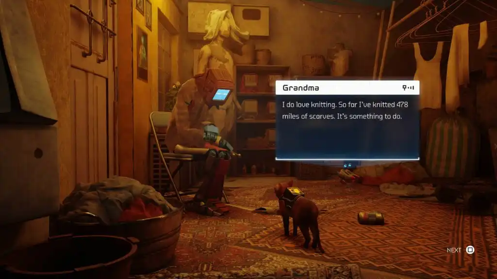 stray playstation