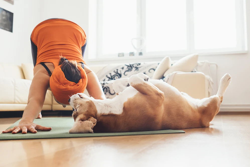 Different Types of Animal Yoga