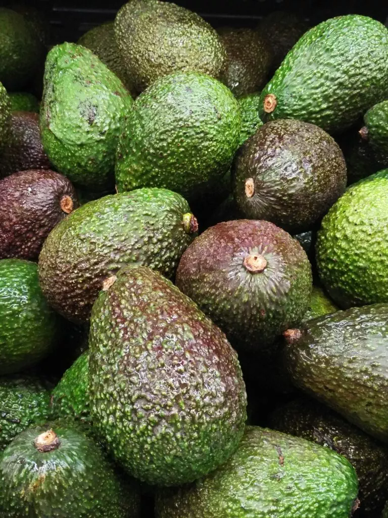 Avocado 101: How to Pick, Store and Handle the Perfect Fruit