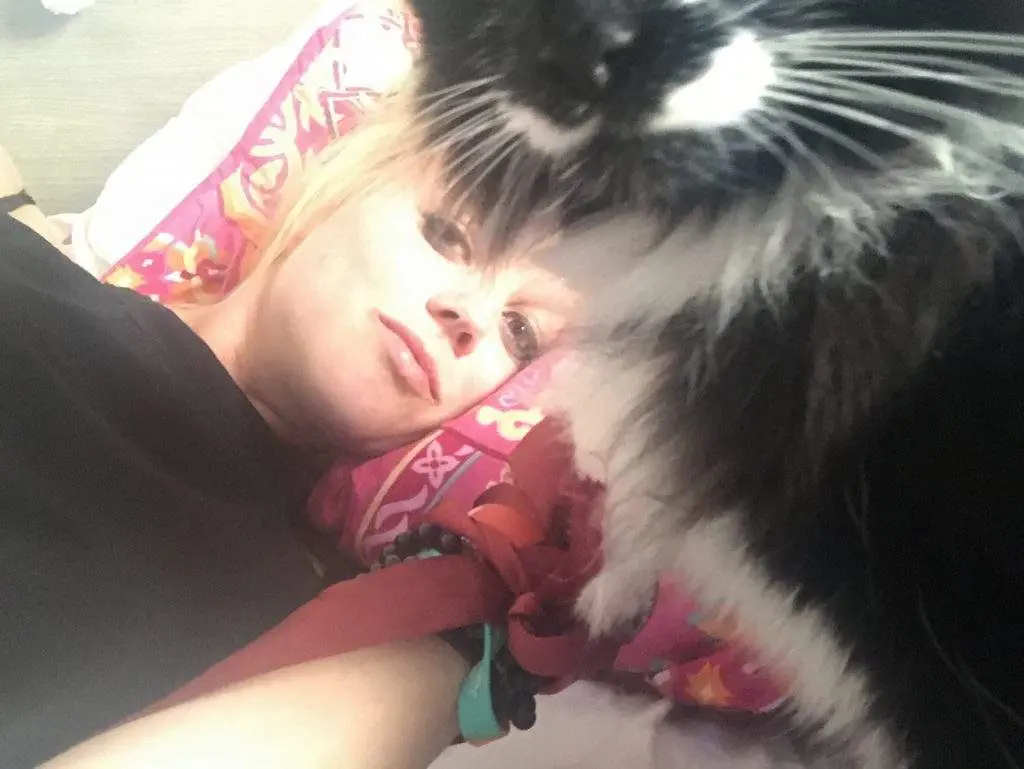 Do Cats Forget Or Miss Their Owners?
