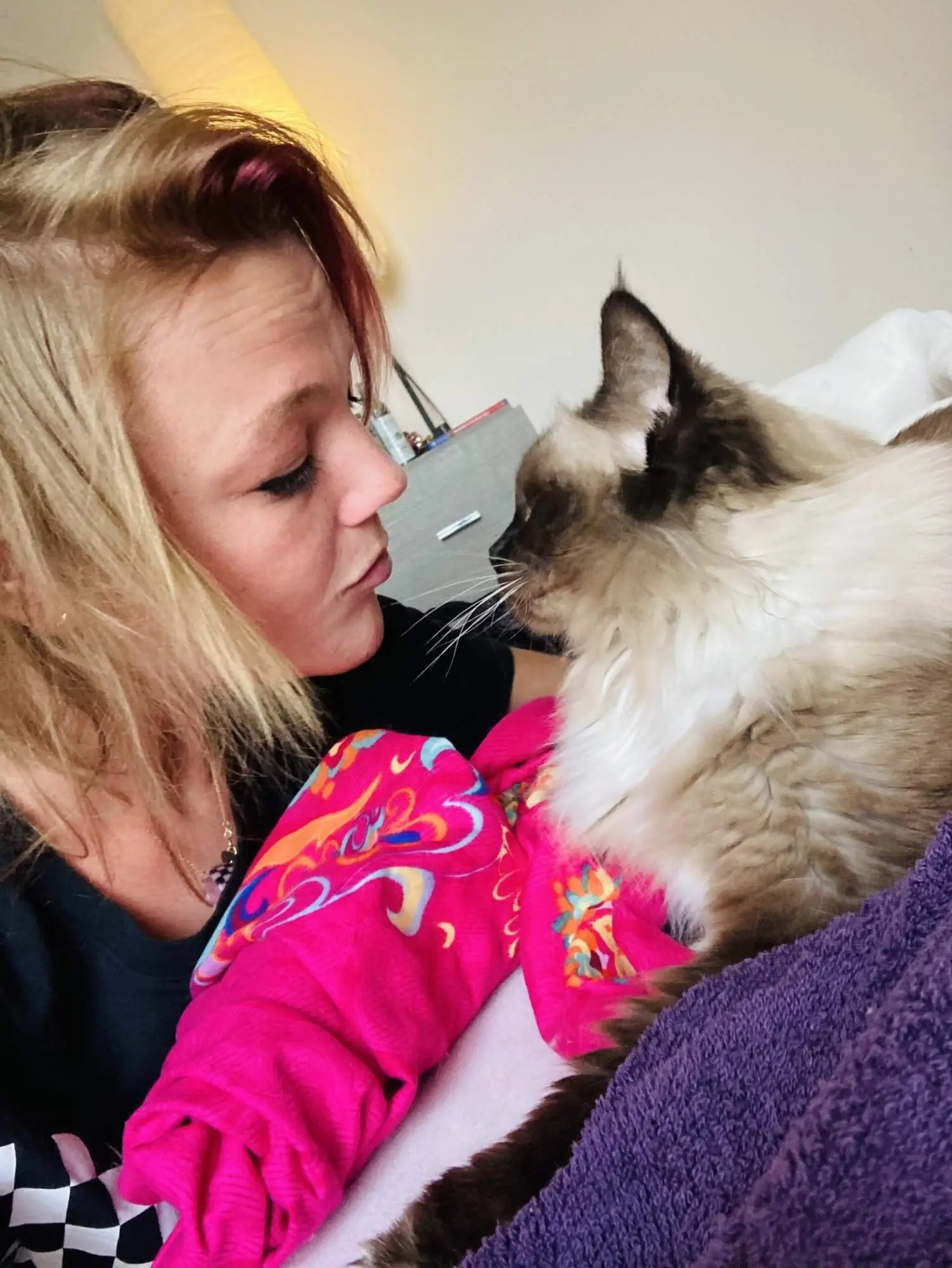Researchers say that liking cats shows that a person is very smart